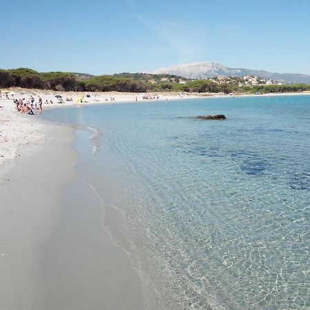 Case Vacanze Rosa Синискола Экстерьер фото